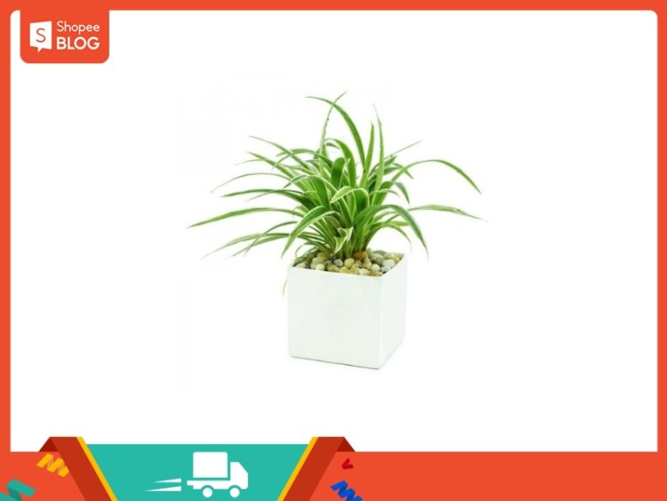 1997 hợp làm ăn tuổi nào