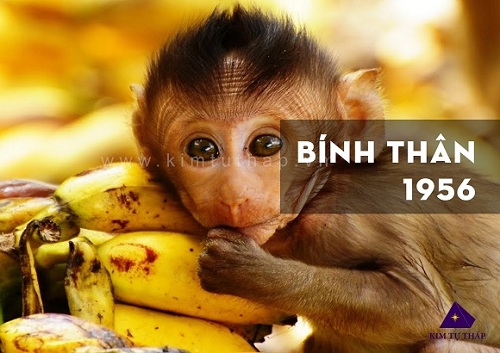 Tính cách người tuổi Bính Thân 1956