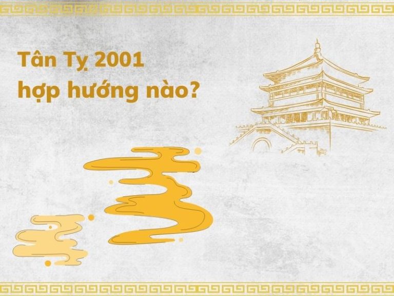 Tân Tỵ 2001 hợp hướng nào
