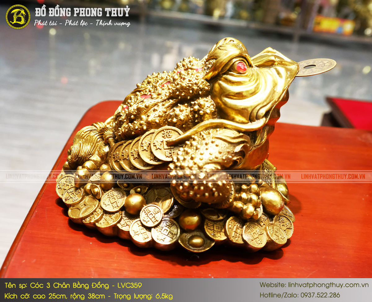 khai quang điểm nhãn cóc ngậm tiền