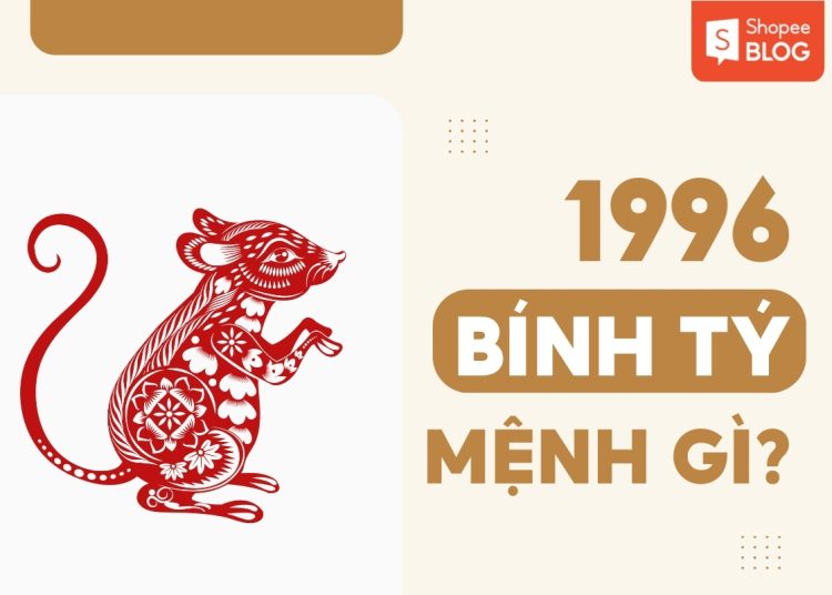 d0a8282e 1996 menh gi