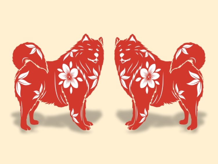 Tuổi Giáp Tuất 1994 hợp tuổi nào