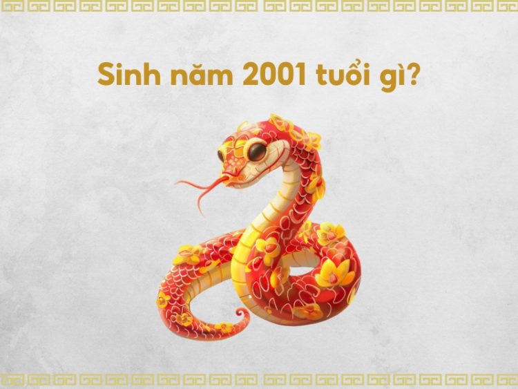Sự nghiệp tuổi Tân Tỵ 2001