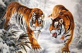 Tuổi Nhâm Dần 1962 hợp tuổi nào