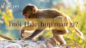 Tuổi Mậu Thân 1968 hợp màu gì