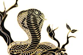 1965 mệnh gì hợp màu gì