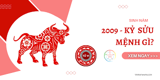 imagesqtbnANd9GcQudsVHLx jX7bVouWD 2W8CX7o3ZmvN2Ecags