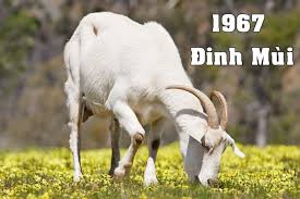 Sự nghiệp người sinh năm 1967 mệnh gì