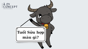 imagesqtbnANd9GcSrOyTORYIBqS4gBloCRrvqJ1vPZX8IXLb84Qs