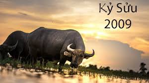 Hướng nhà hợp tuổi Kỷ Sửu 2009