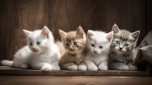 1975 mệnh gì hợp màu gì