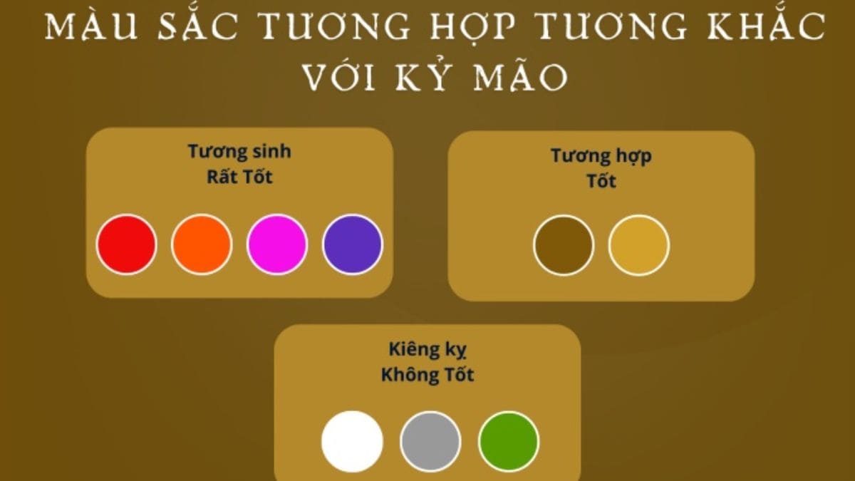 tuổi mão hợp màu gì khi chọn xe