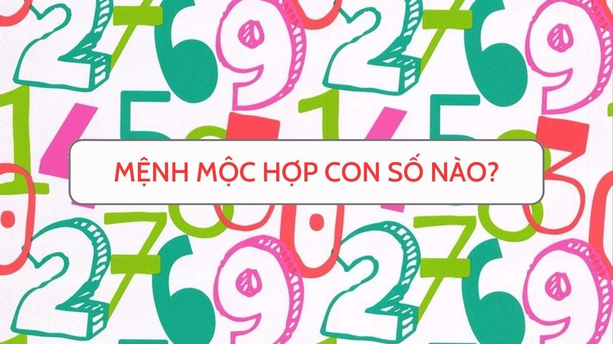 mệnh mộc hợp số nào