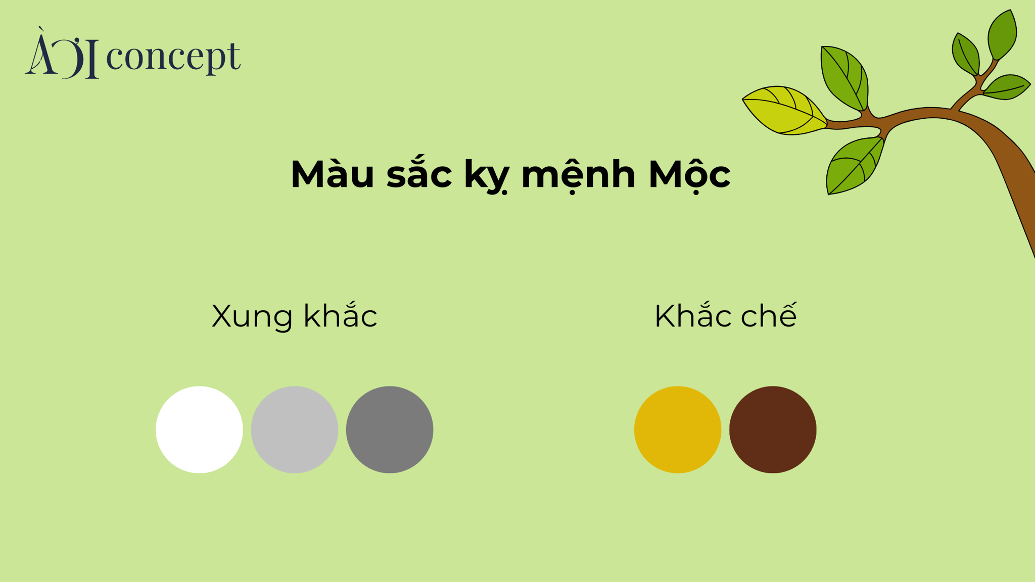 các màu hợp mệnh mộc