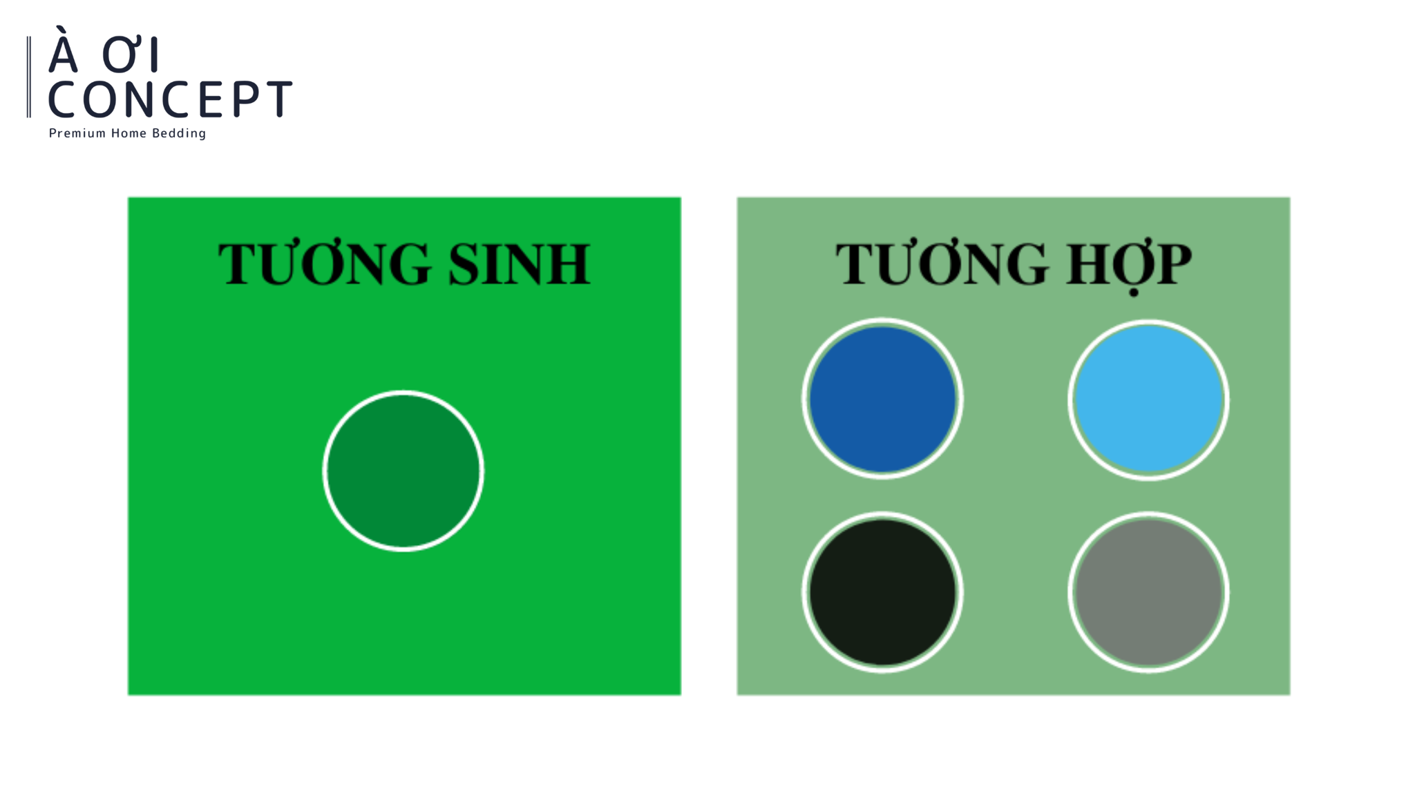 Màu sắc hợp với người mệnh Mộc