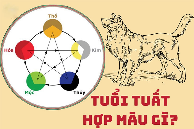 nam 2024 tuoi tuat hop mau gi 1