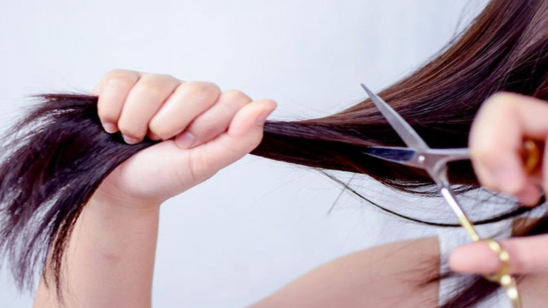 Thời điểm vàng để cắt tóc đón Tết