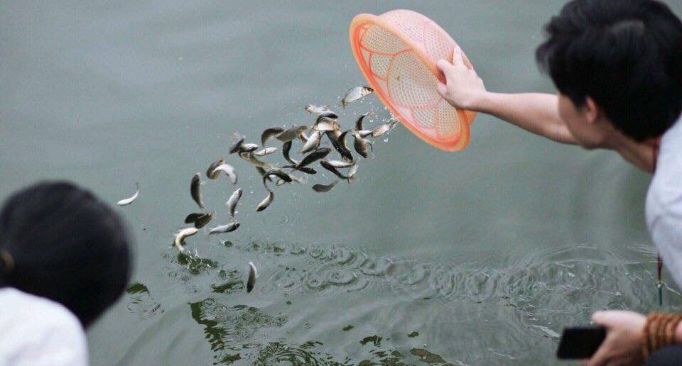 nghi thức phóng sinh đúng cách