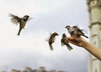 văn khấn phóng sinh ốc