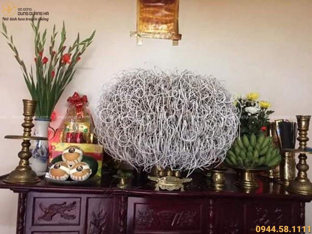 Giải Đáp Không Tỉa Chân Nhang Có Được Không Từ Chuyên Gia 5 không tỉa chân nhang có được không