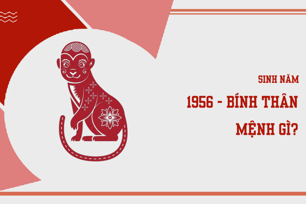 sinh nam1956