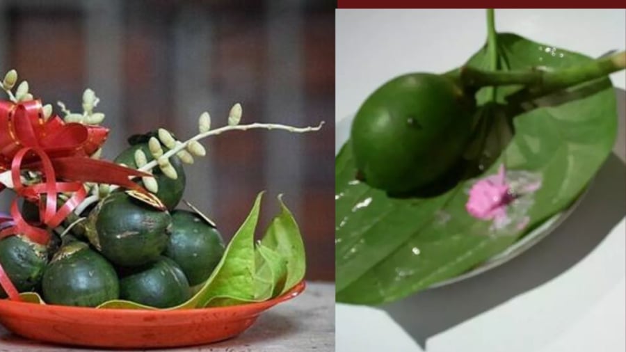 trau cau thap huong 0254