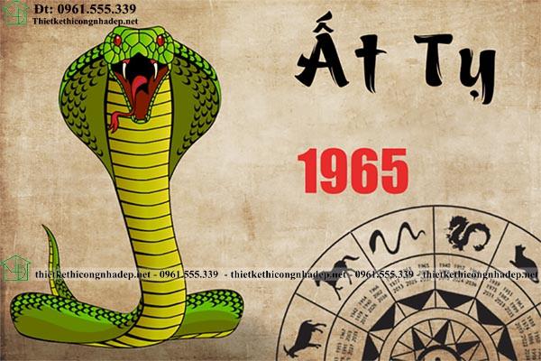 tu vi tuoi at ty 1965 1