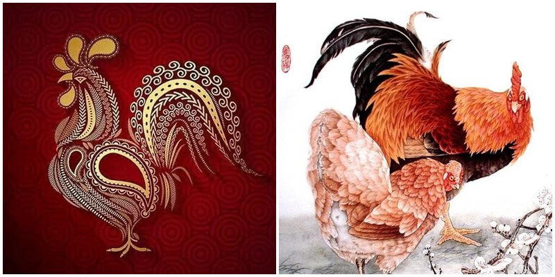 tuoi dau hop mau gi 1