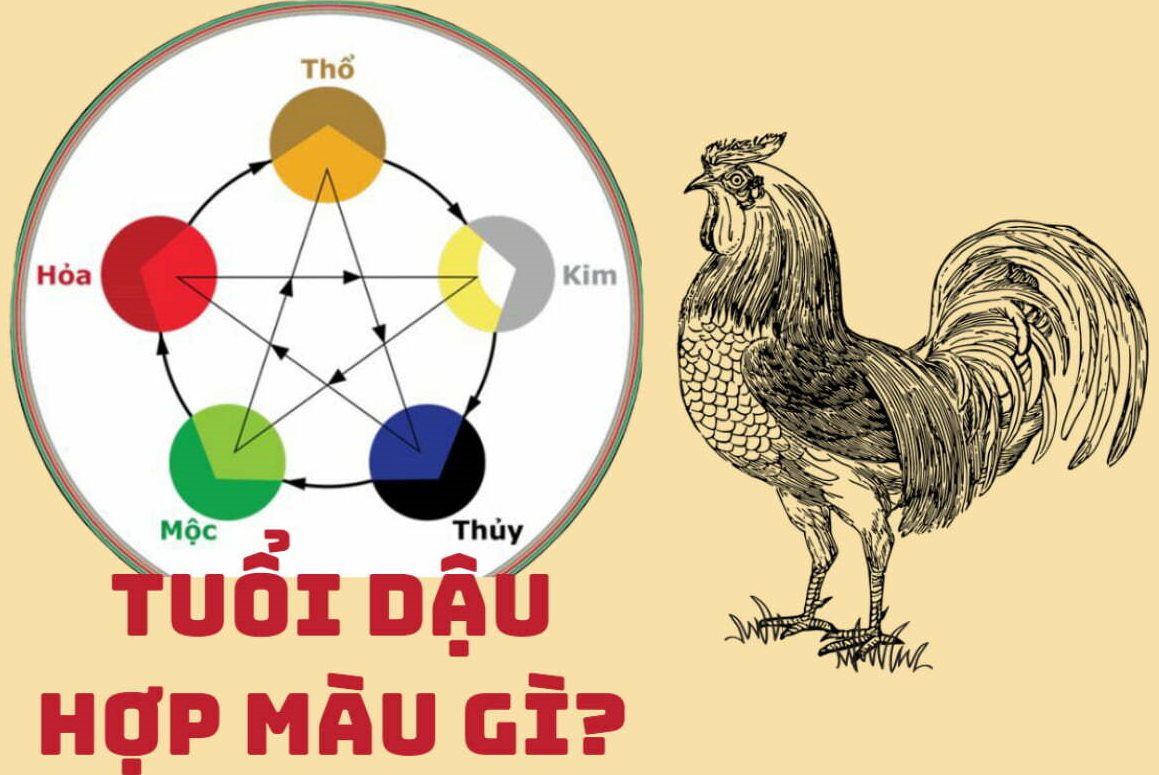 Chọn màu xe hợp tuổi Dậu