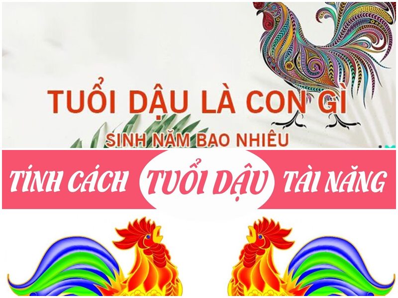 Tuổi Quý Dậu 1993 hợp màu nào