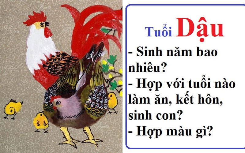 Tuổi Đinh Dậu 1957 hợp màu gì