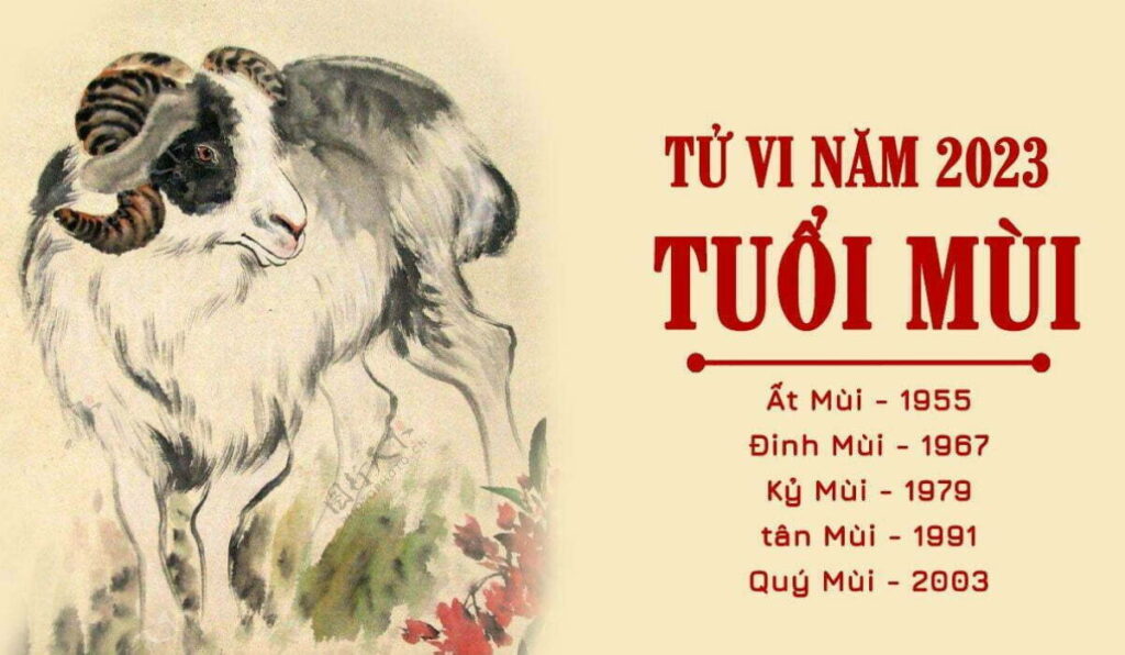 tuoi mui hop mau gi 1 1