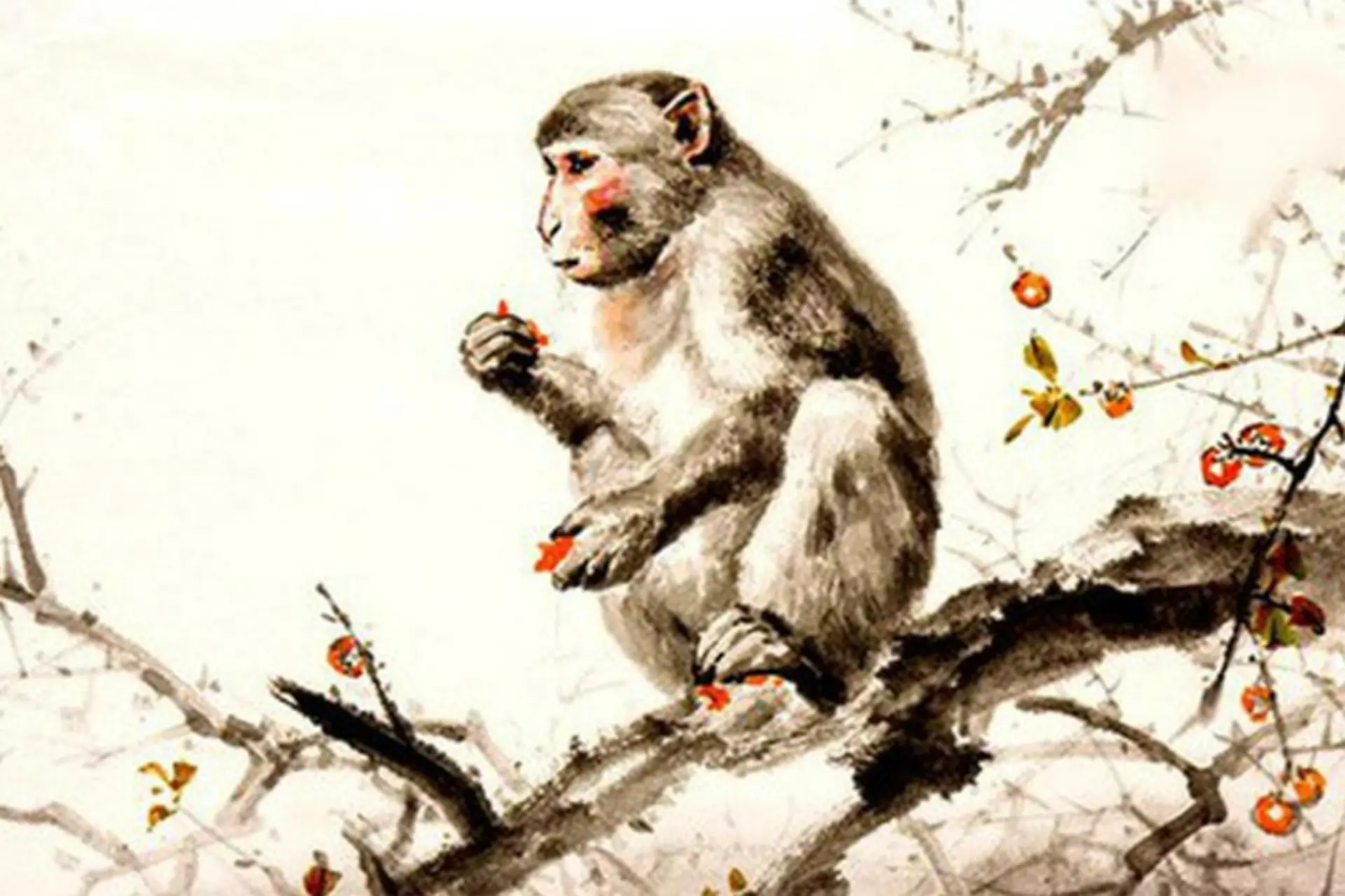 Hướng nhà hợp phong thủy cho tuổi Canh Thân 1980