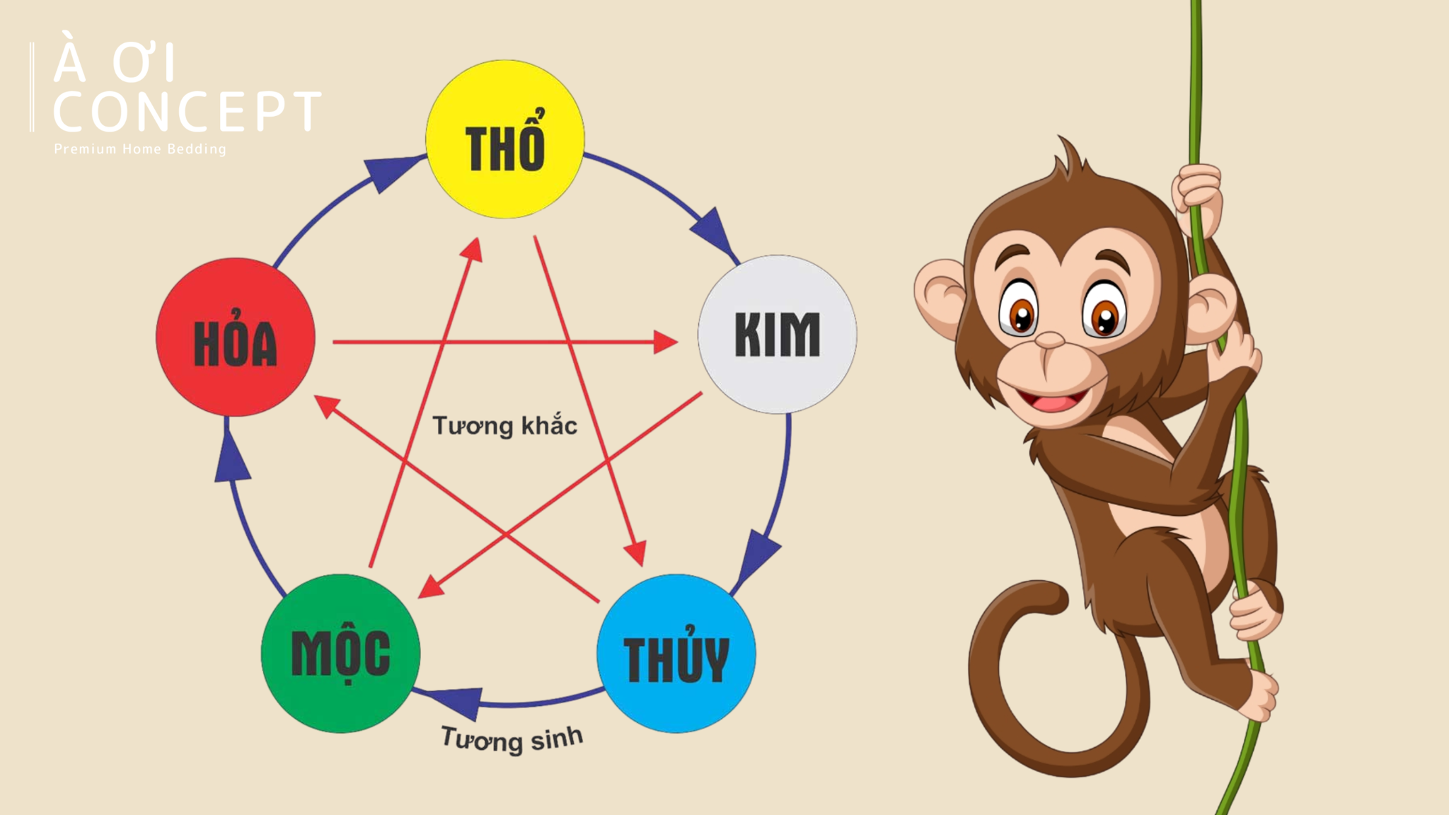 Bảng tra cứu tuổi thân hợp màu gì theo ngũ hành
