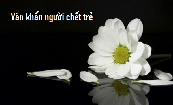 Văn Khấn Giỗ Người Chết Trẻ Và Hướng Dẫn Cúng Giỗ Đầy Đủ 1 Văn khấn giỗ người chết trẻ thành tâm và trang trọng nhất